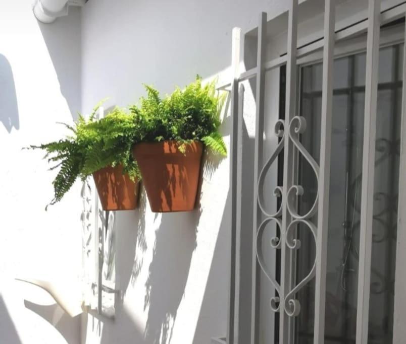 La Marieta, Casita Acogedora Y Centrica Villa Кастиеха де ла Куеста Екстериор снимка